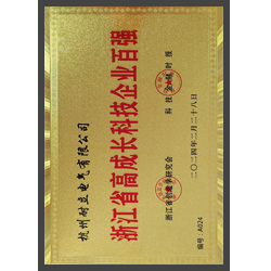 浙江省高成長科技企業(yè)百強